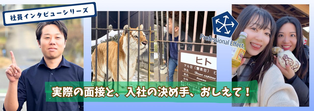 Wantedlyから入社した社員に聞く「面談から内定までのこと」と、「入社の決め手」/Case2:環境重視で探していた新卒の自分にベストマッチ。ここに惹かれた理由とは?