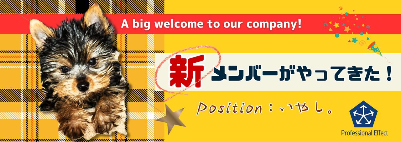 ㊗️さらに仲間がジョイン!看板犬がやってきた!!🎊✨【新メンバー紹介】