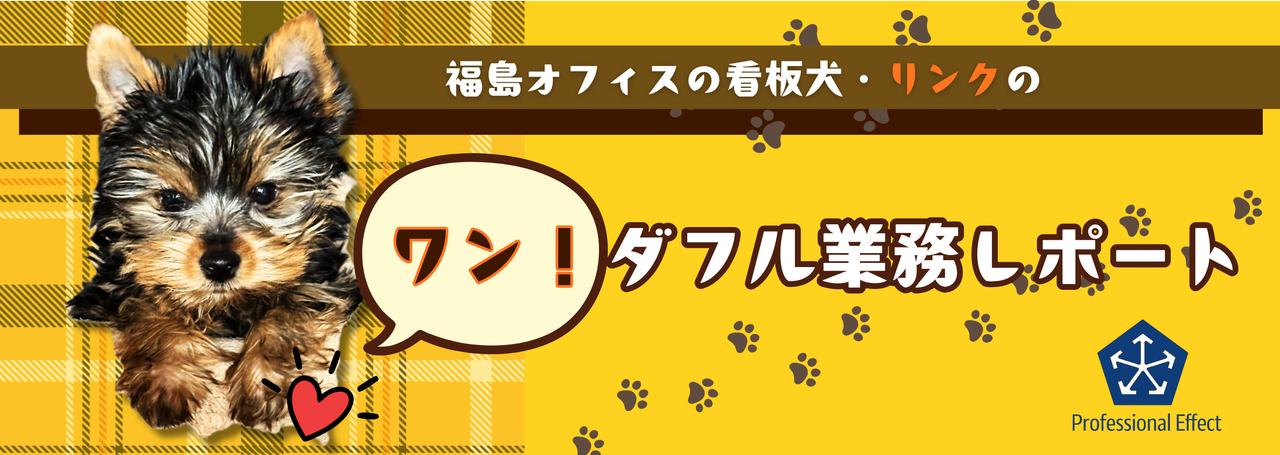 【看板犬・リンクのレポート】①業務進捗?とダディとの休日🐾🐶